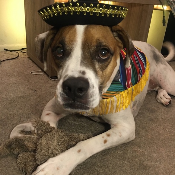 Future Mrs.Couture - Picture 5 of 16